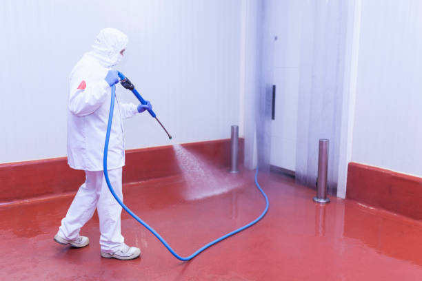 Best Paint Preparation  in Wetherington, OH